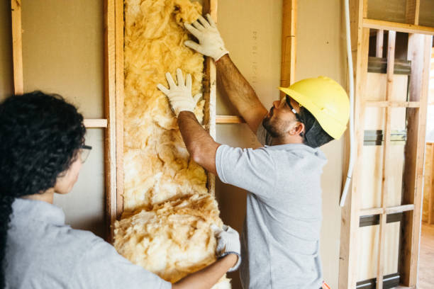 Types of Insulation We Offer in Ann Arbor, MI